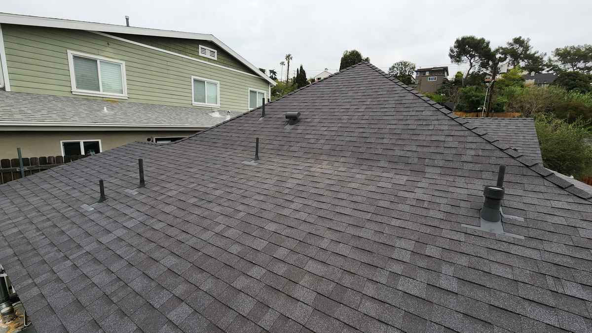 Gray shingle hip roof with several vents and pipes projecting, next to a green-sided building